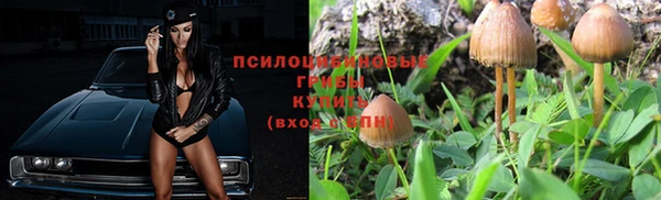 PSILOCYBIN Богородицк