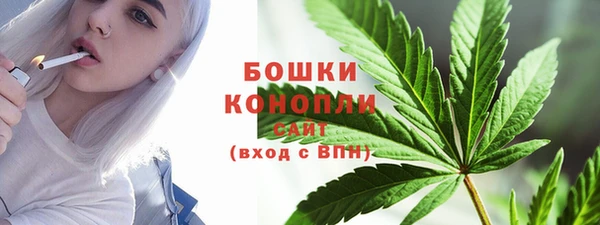 хмурый Богородск