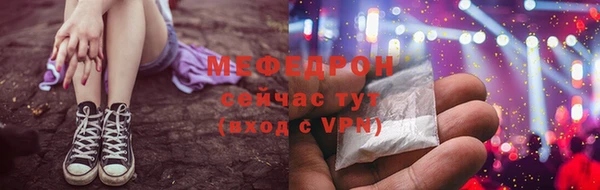 ECSTASY Богданович