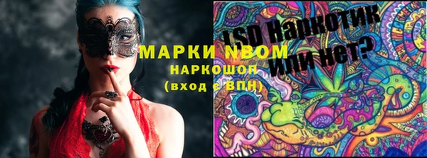 PSILOCYBIN Богородицк