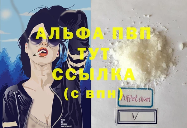 PSILOCYBIN Богородицк