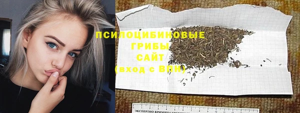 ECSTASY Богданович
