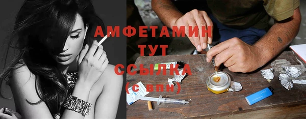 ECSTASY Богданович